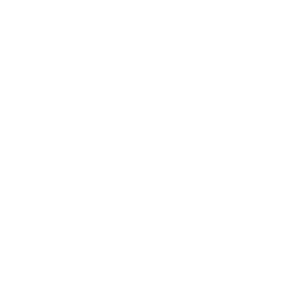 logo pss transparente x blanco